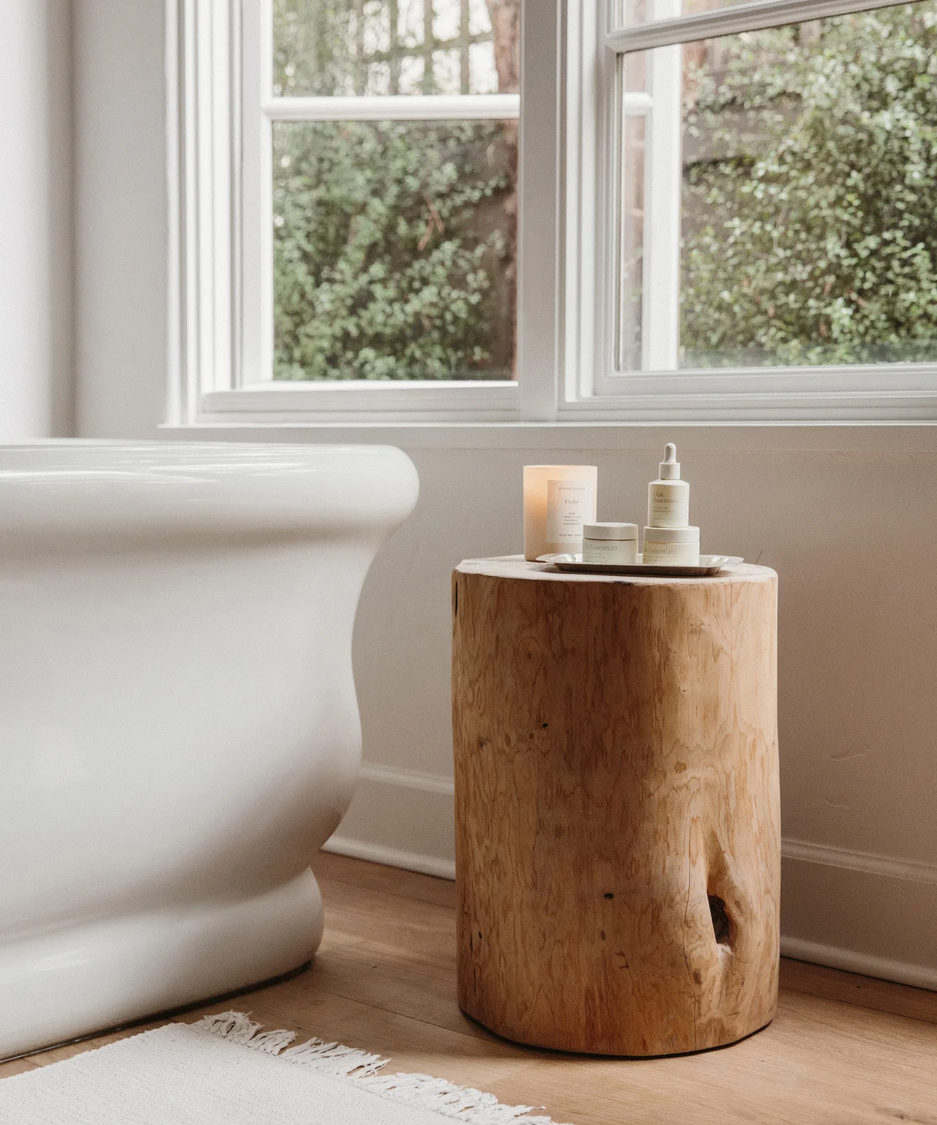 Cedar Stump - Image 4